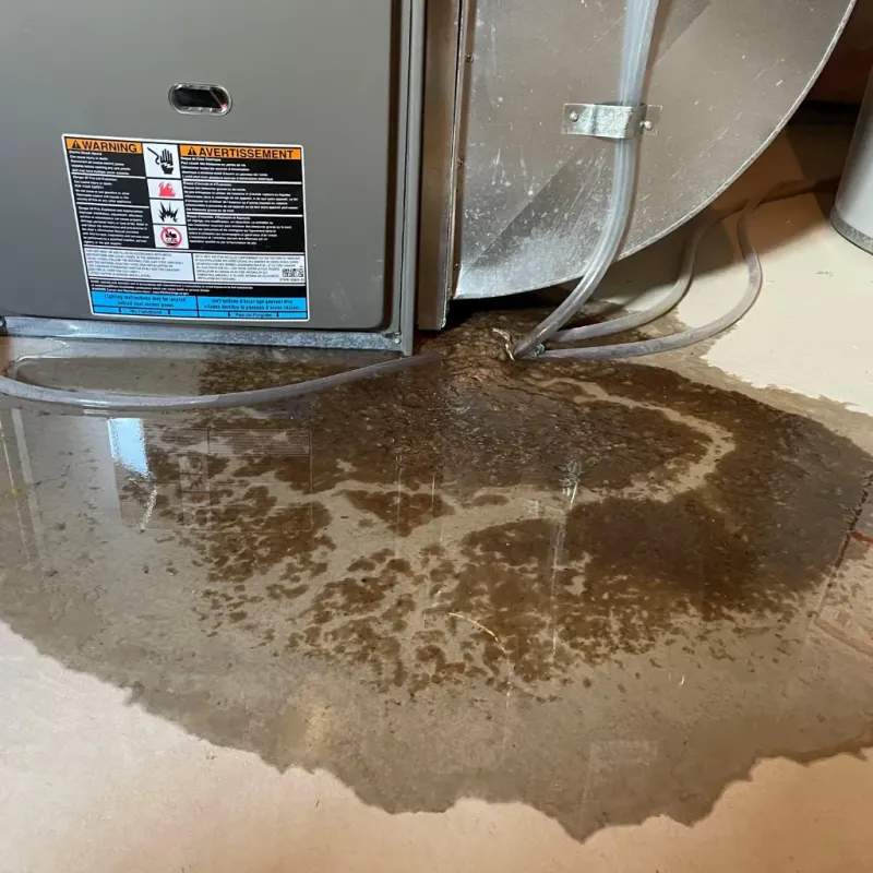 Appliance Leak Cleanup in Northwood, IA